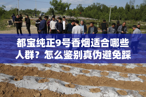 都宝纯正9号香烟适合哪些人群？怎么鉴别真伪避免踩坑？